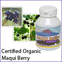 Buy Only Organic Maqui Berries